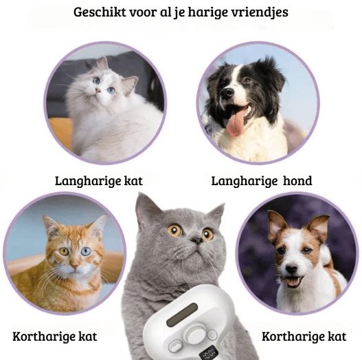 Multifunctionele Stoomborstel – Ontklitten, Reinigen & Verzorgen